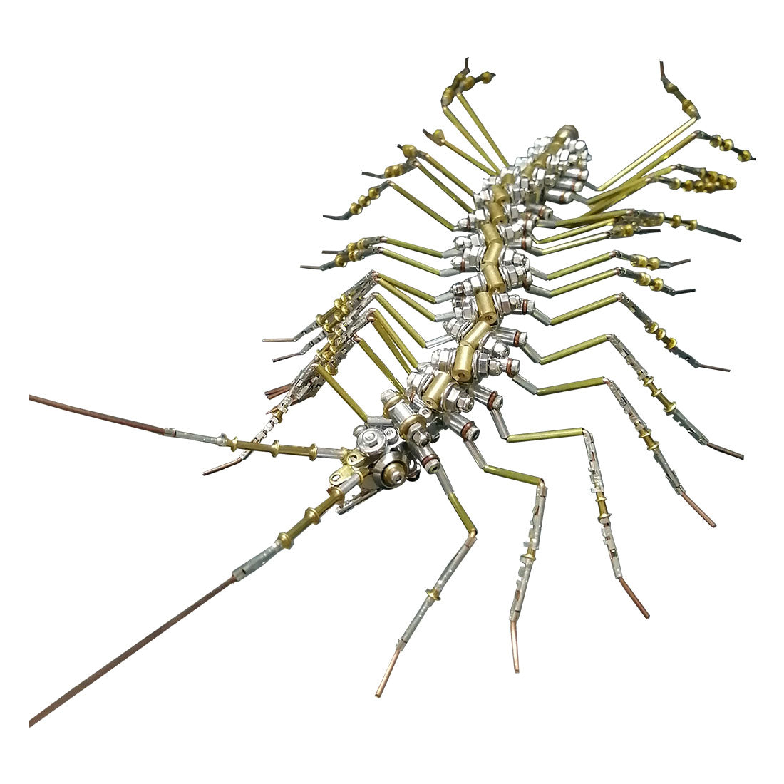 Biochemical Mechanical Scutigera Metal Model Building Kits Insect Art - 3D Metal Puzzle Kit | Karpenter Shop