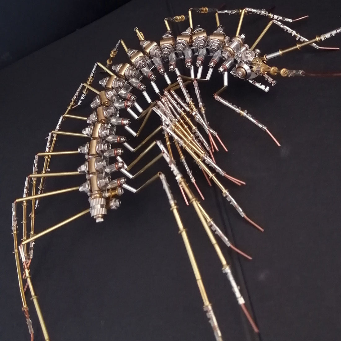 Biochemical Mechanical Scutigera Metal Model Building Kits Insect Art - 3D Metal Puzzle Kit | Karpenter Shop
