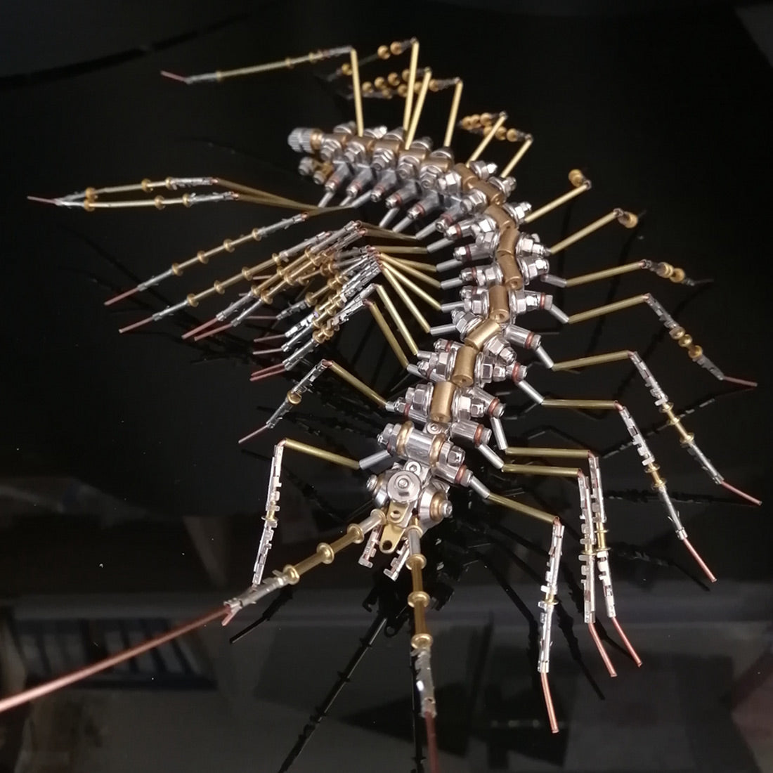Biochemical Mechanical Scutigera Metal Model Building Kits Insect Art - 3D Metal Puzzle Kit | Karpenter Shop