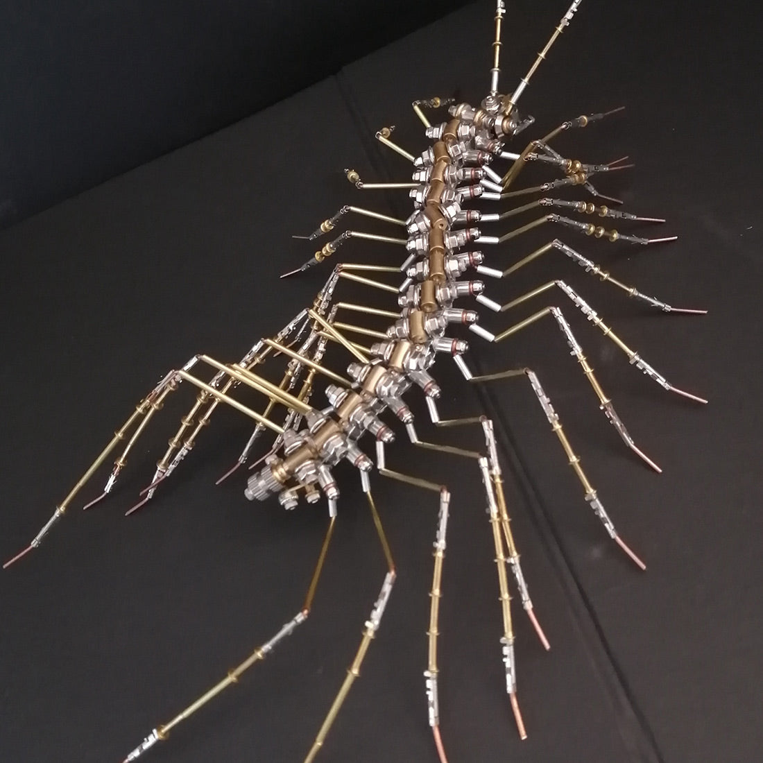 Biochemical Mechanical Scutigera Metal Model Building Kits Insect Art - 3D Metal Puzzle Kit | Karpenter Shop